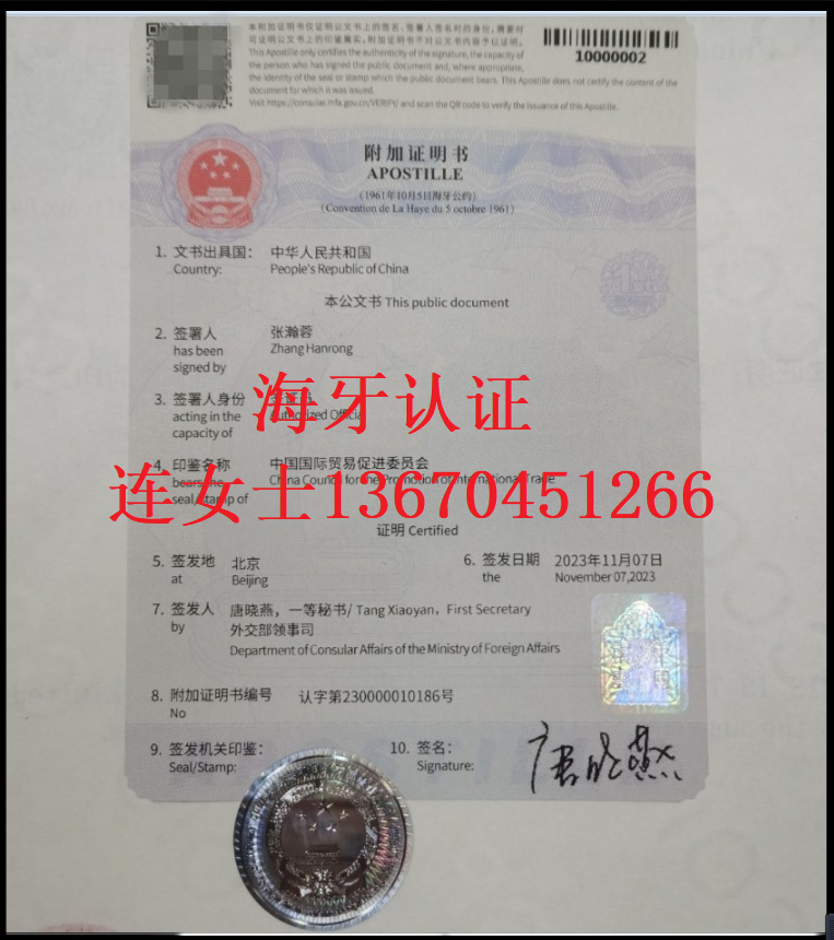 中国海牙认证样本